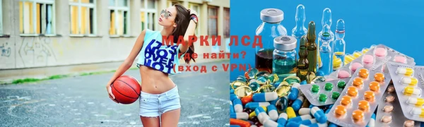 ПСИЛОЦИБИНОВЫЕ ГРИБЫ Алексеевка