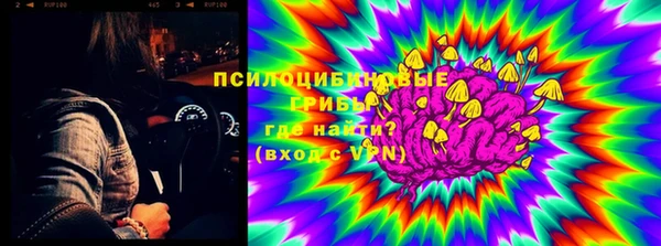 прущая мука Алзамай