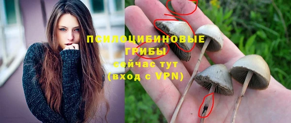 прущая мука Алзамай