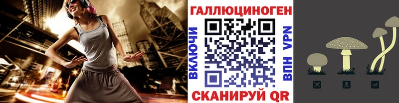 Псилоцибиновые грибы Psilocybine cubensis  Ветлуга 
