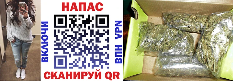 МАРИХУАНА сатива  Ветлуга 